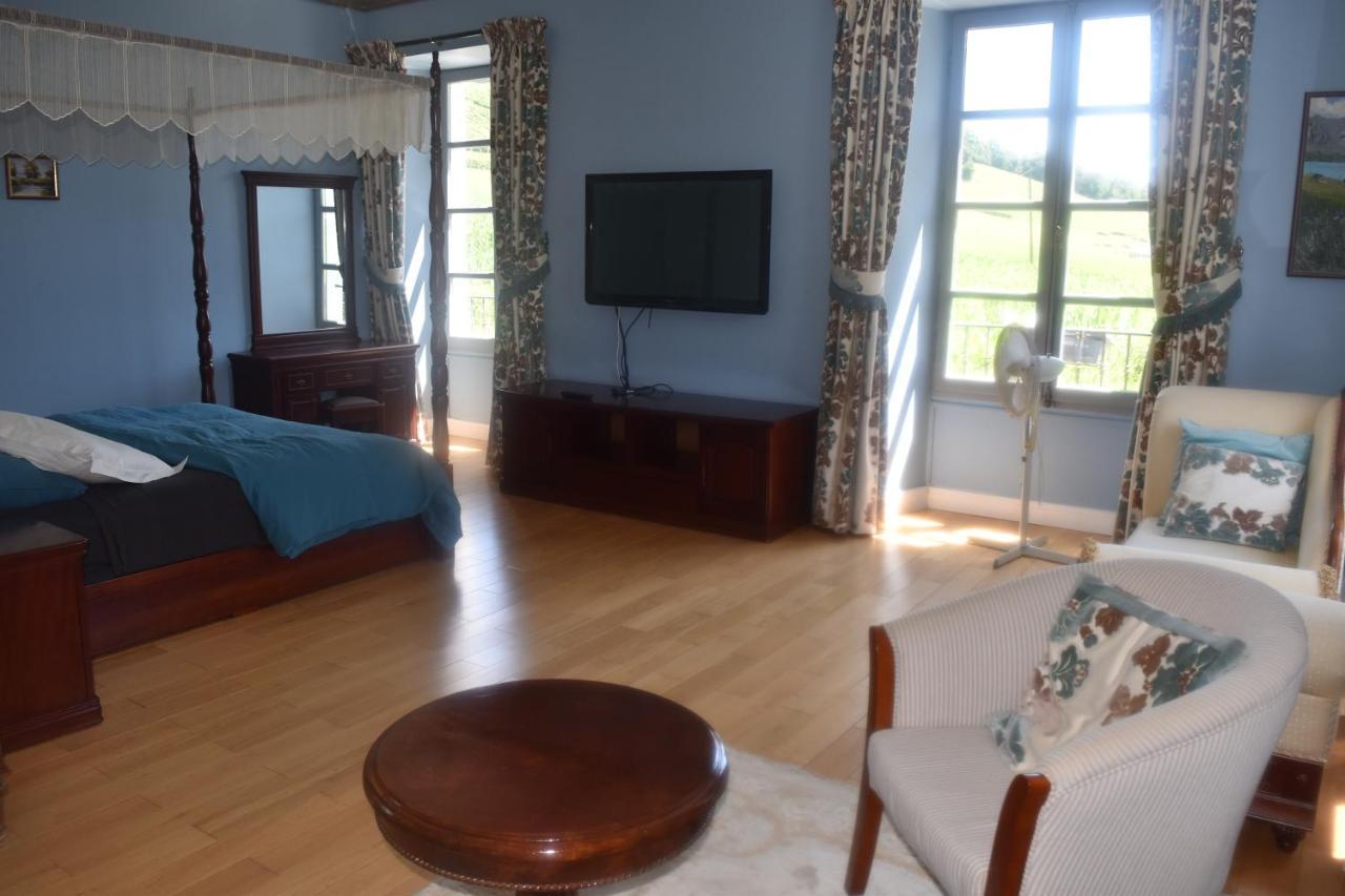 Chateau Roquehort Avec Ev Recharge Point 22Kw Monein Ngoại thất bức ảnh