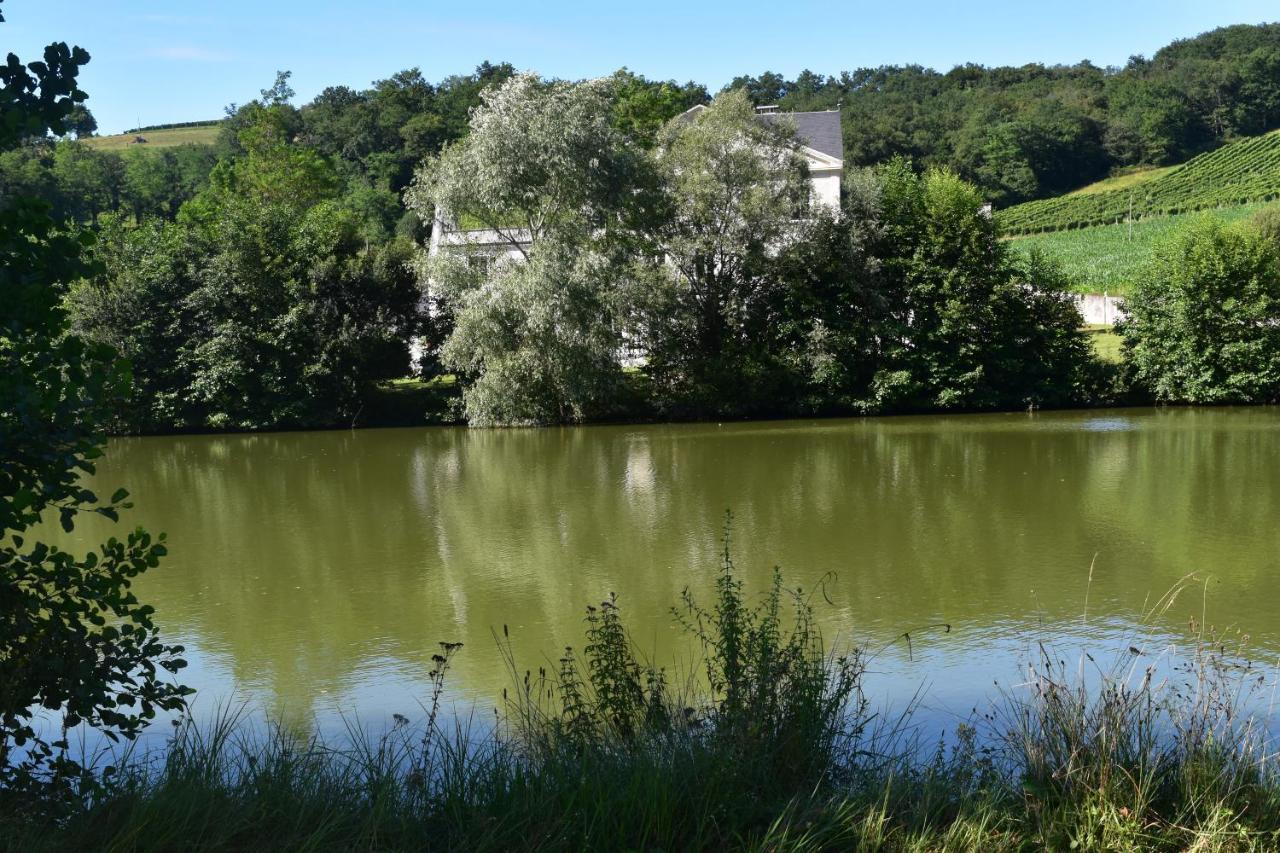 Chateau Roquehort Avec Ev Recharge Point 22Kw Monein Ngoại thất bức ảnh